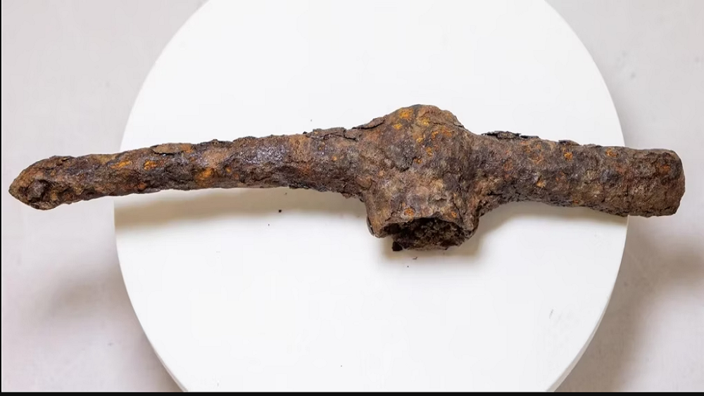     Фото: пресс-служба Сибирского федерального университета / Евгений Пузин