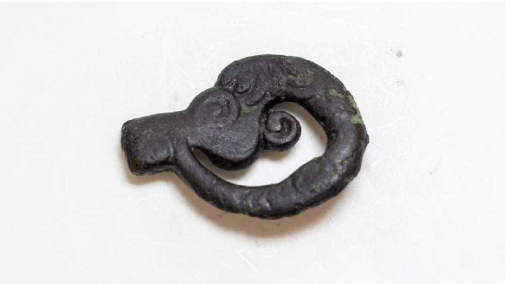     Фото: пресс-служба Сибирского федерального университета / Евгений Пузин