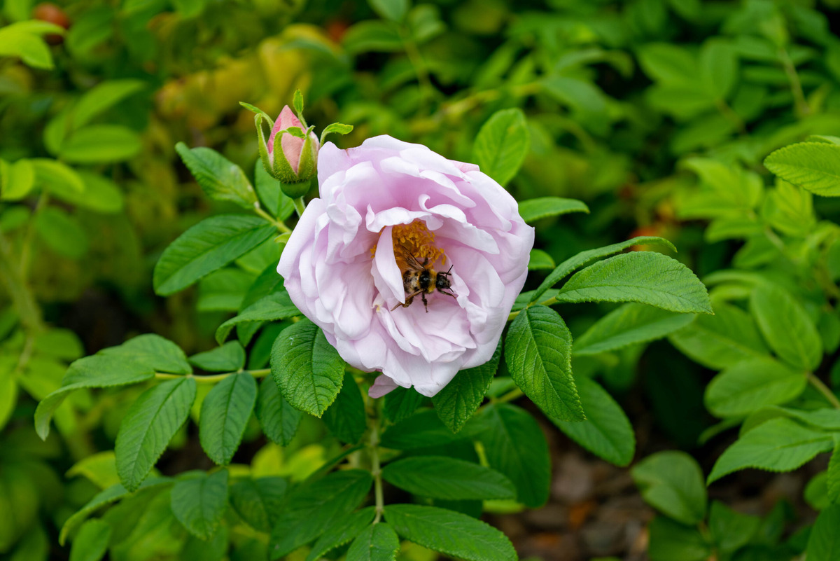    Фото: Галина Ниценкова