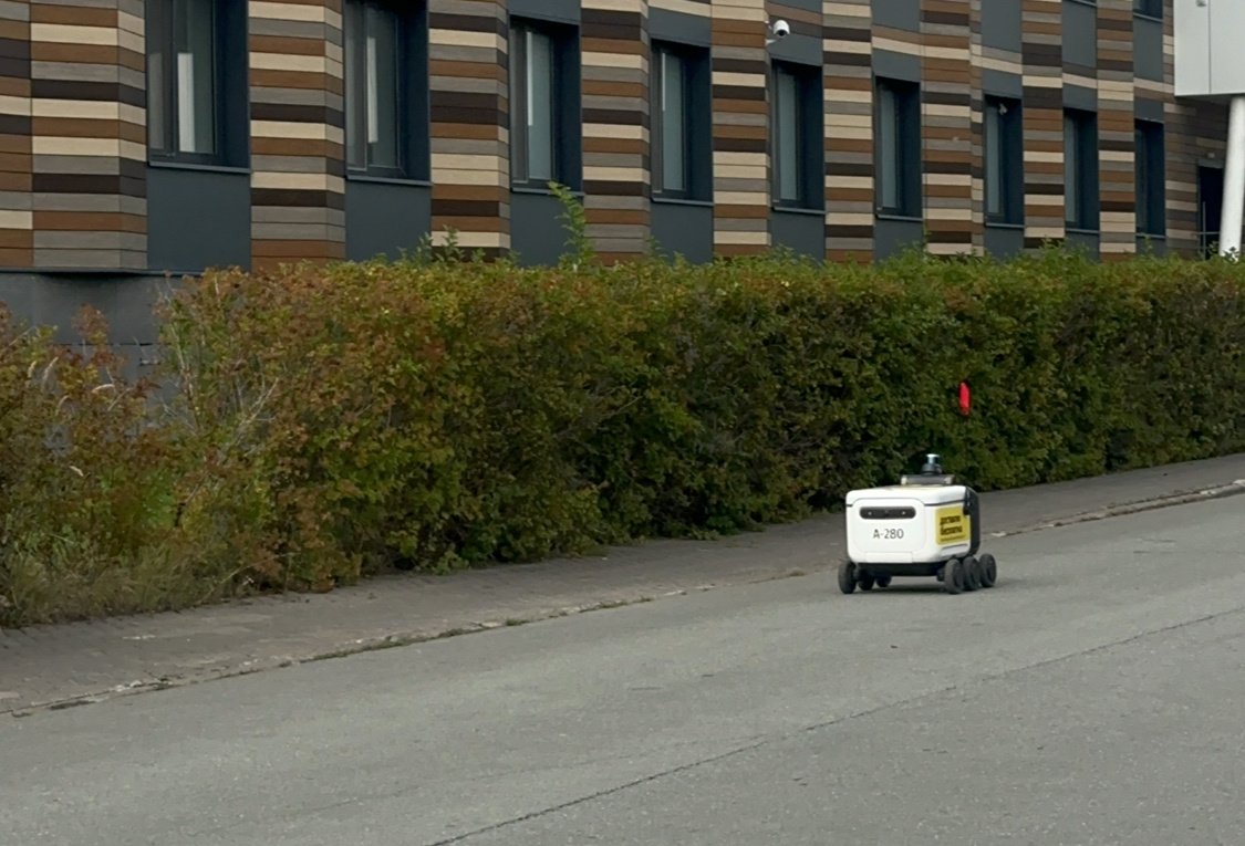 Тот самый робот встретился нам сразу, как только мы приехали к парковке