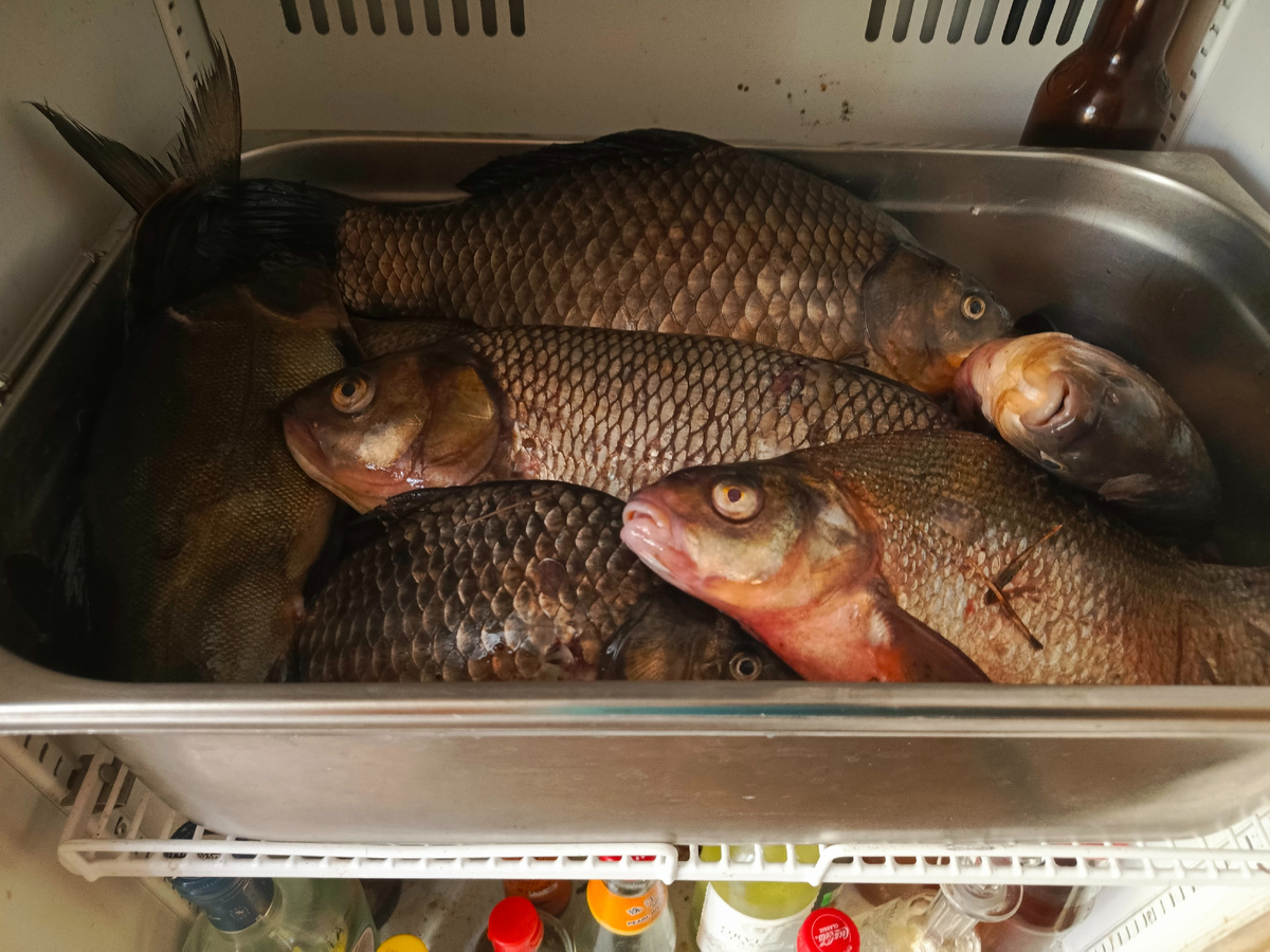 фото из личного архива