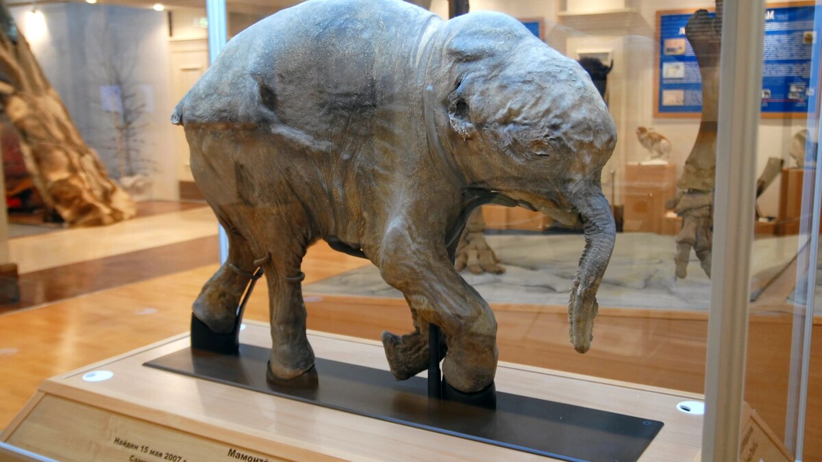    Фото: Kirill Skorobogatko / Shutterstock / Fotodom