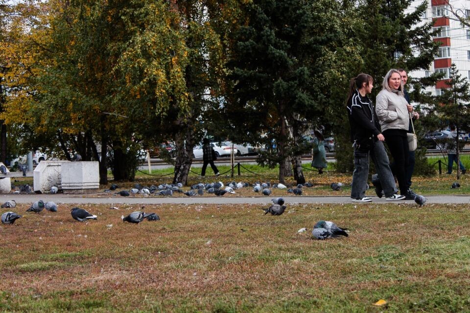    Осень. Погода. Барнаул. Источник: Марина Евтушенко