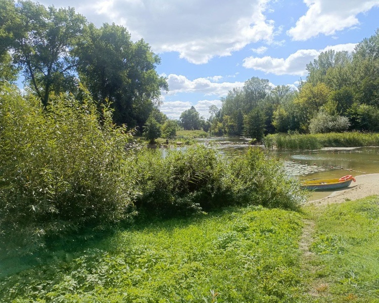     В Курской области 26 августа ожидаются грозы и +20 градусов