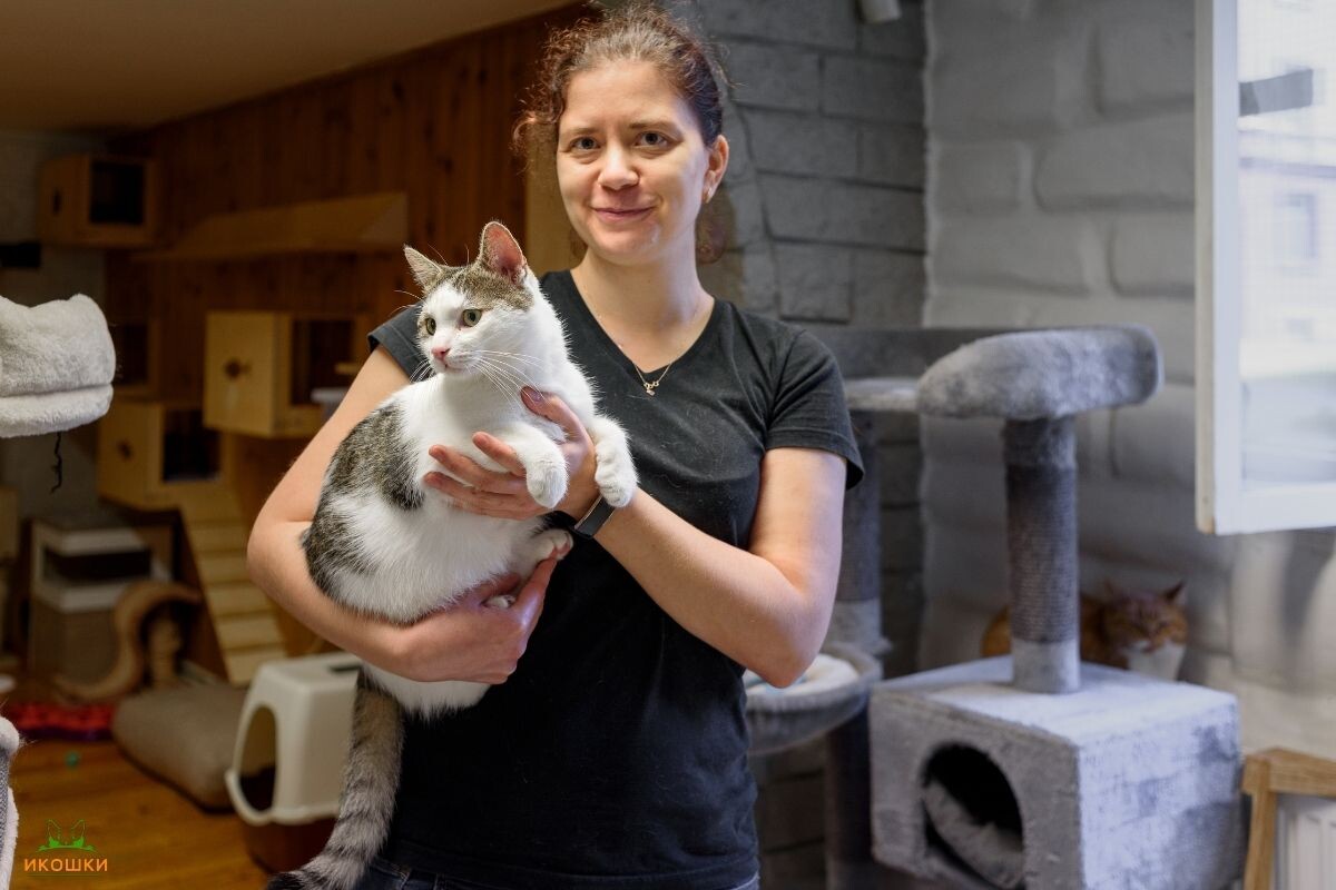 Волонтёр с кошкой в приюте 