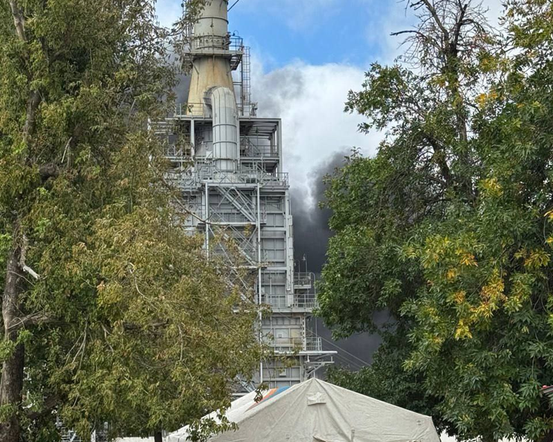    Фото: пресс-служба Правительства Ростовской области