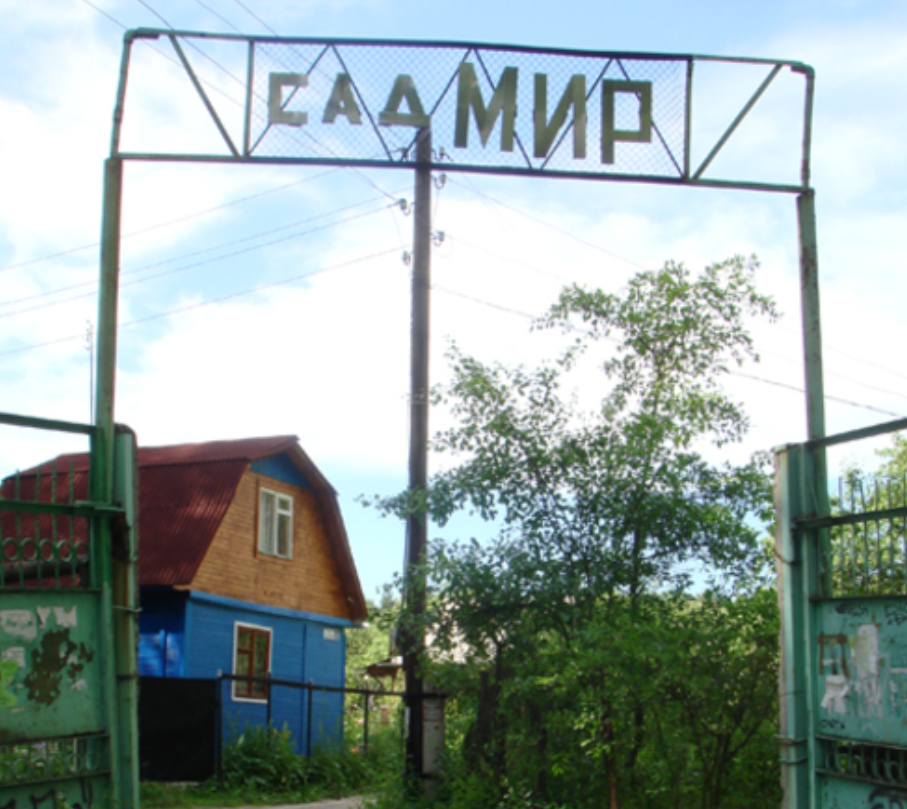 Фото: «МК»