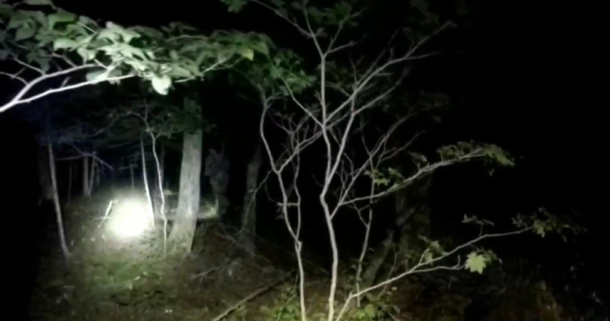    Источник фото: "Примпоиск"