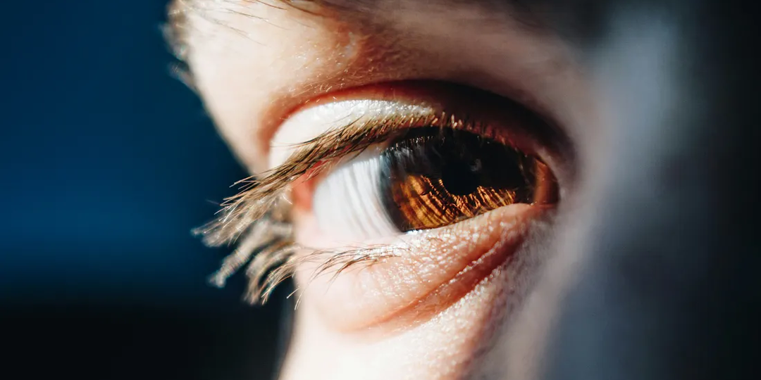 5 неудобных, беспощадных истин о человеческой психологии от Наполеона Бонапарта