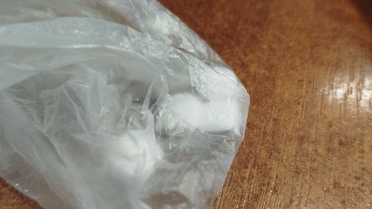    Фото: телеканал «Краснодар»