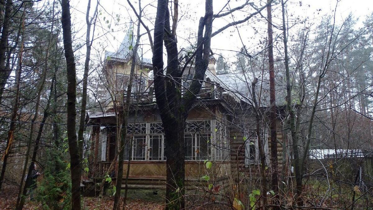    Фото: t.me/kgiopspb