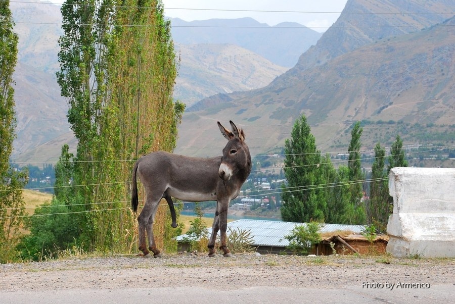 Закавказье остаётся без России. Пока
