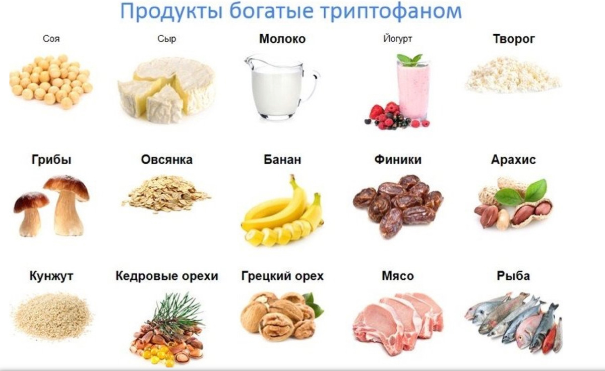 Триптофан - предшественник серотонина