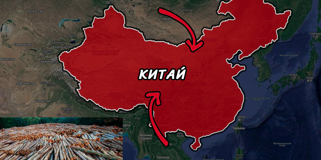 Откуда Китай берёт древесину, если запретил вырубку леса внутри страны?