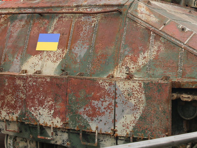 Фото: Геннадий Черкасов
