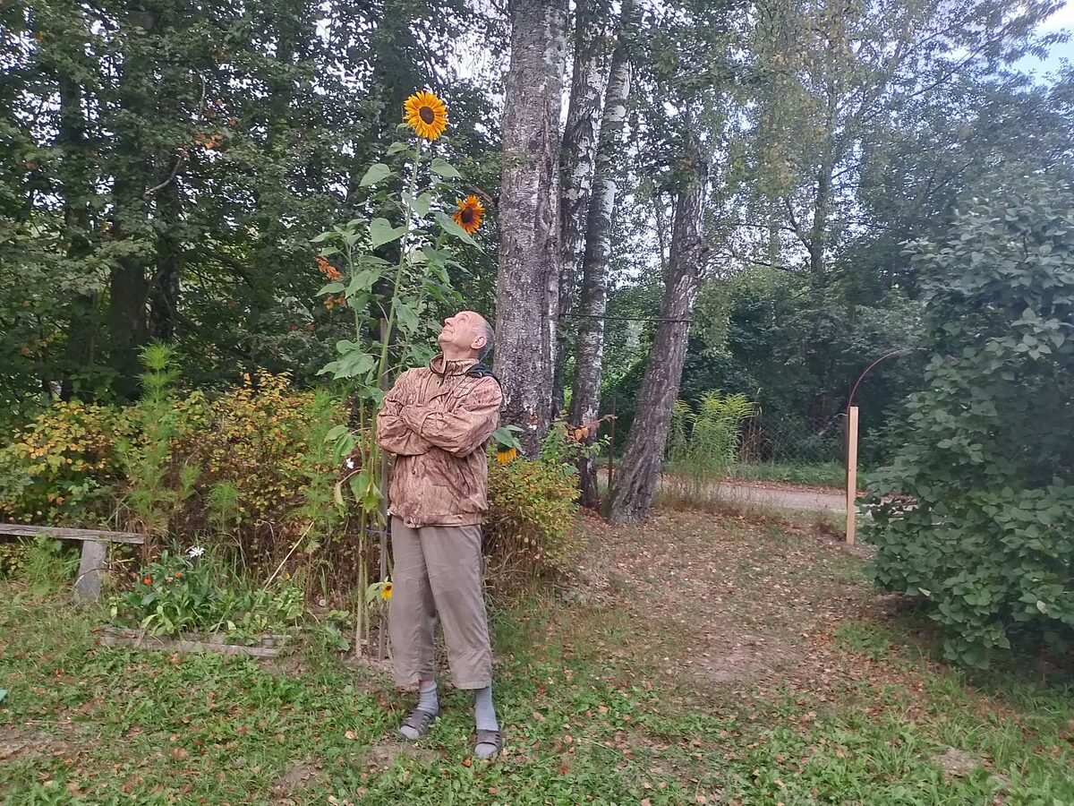 Это я после инцидента, уже не такой веселый. Зато каков подсолнух!