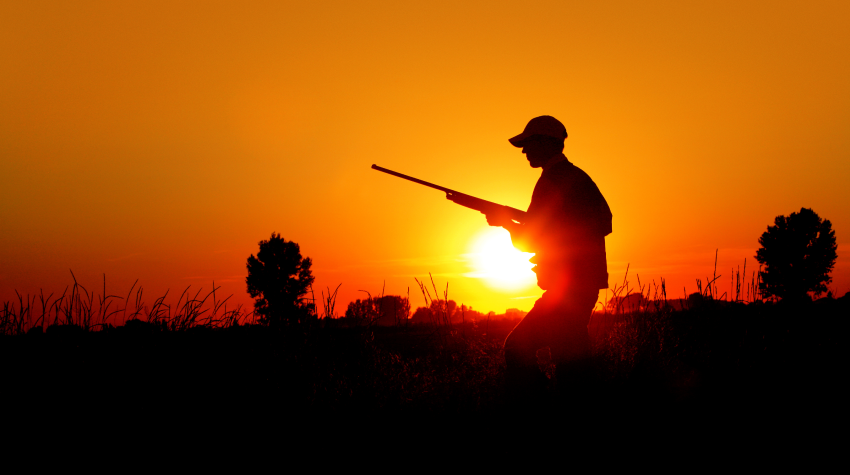 Источник: stock.adobe — LUGOSTOCK