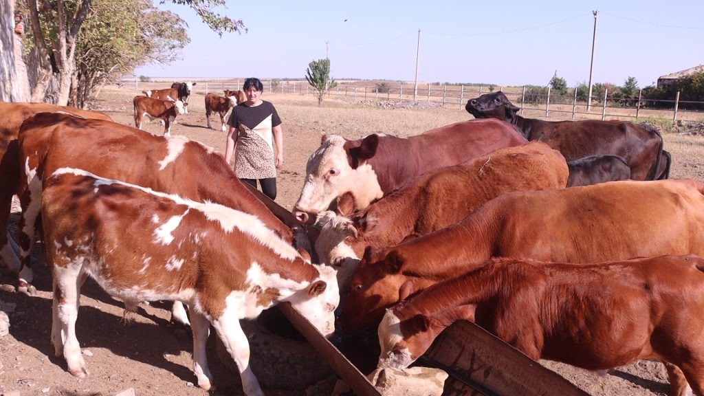    Фото автора Василий Шеин