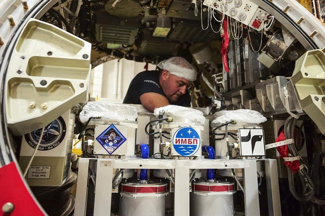 Фото: ТАСС / Роскосмос Медиа  📷
