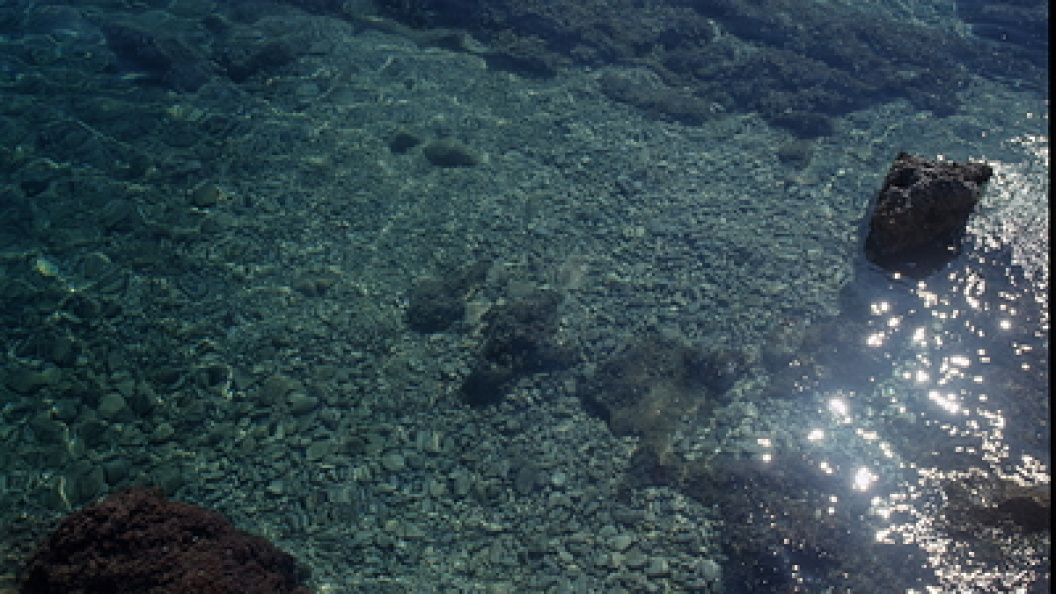    Vadim Nekrasov/Globallookpress