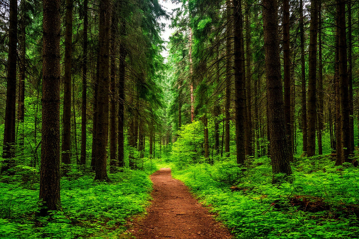    Фото: Сгенерировано ИИ Источник: shedevrum.ai