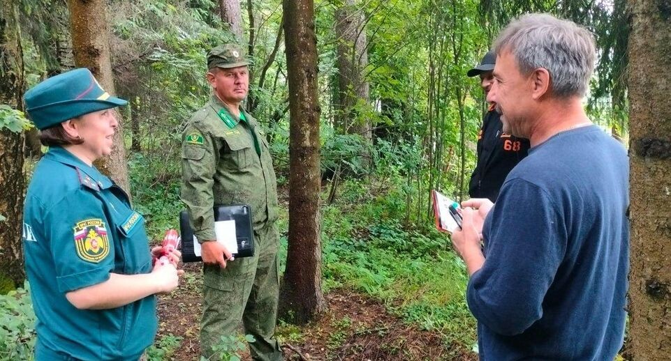    Комитет лесного хозяйства Московской области