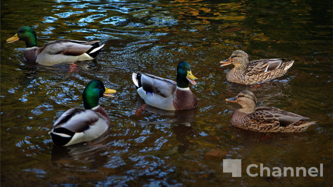 Фото: Анастасия Илюшина/47channel