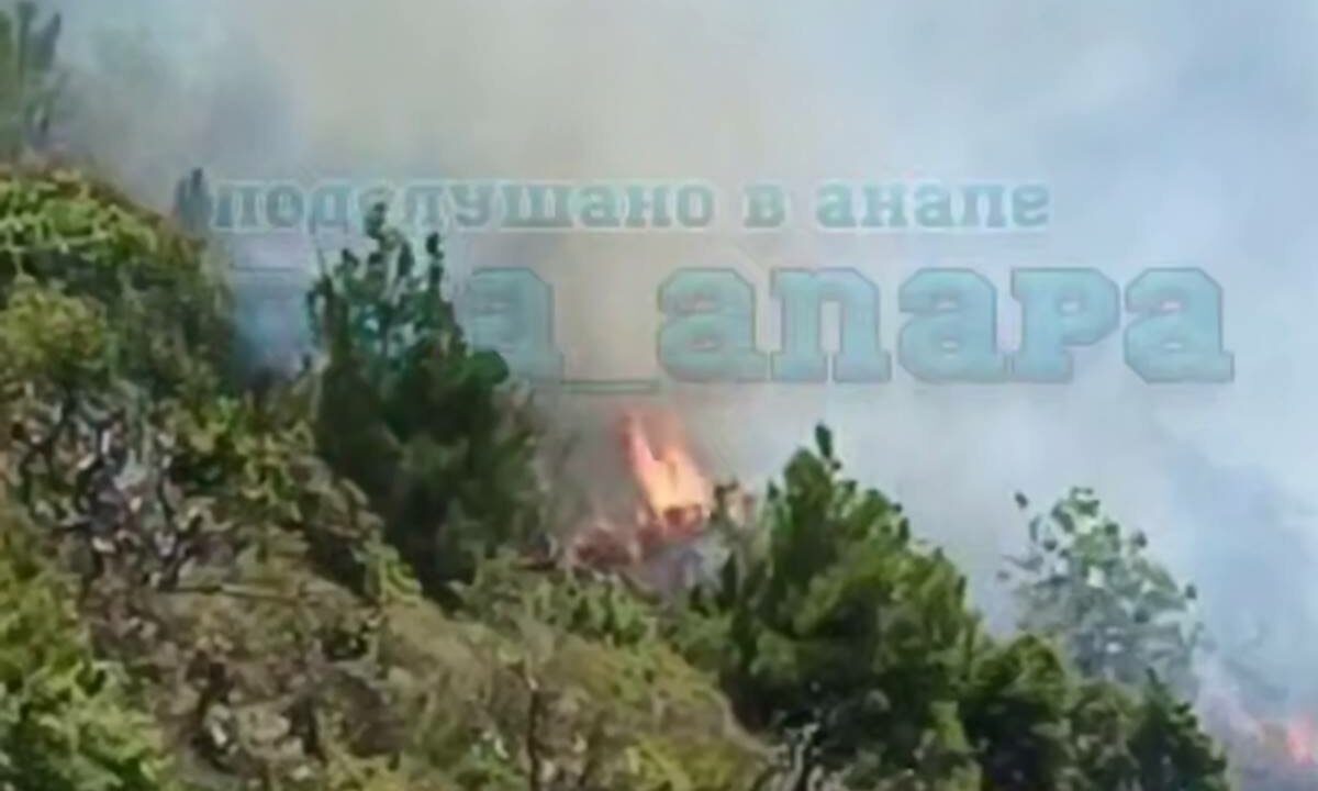    Фото t.me/pva_anapa