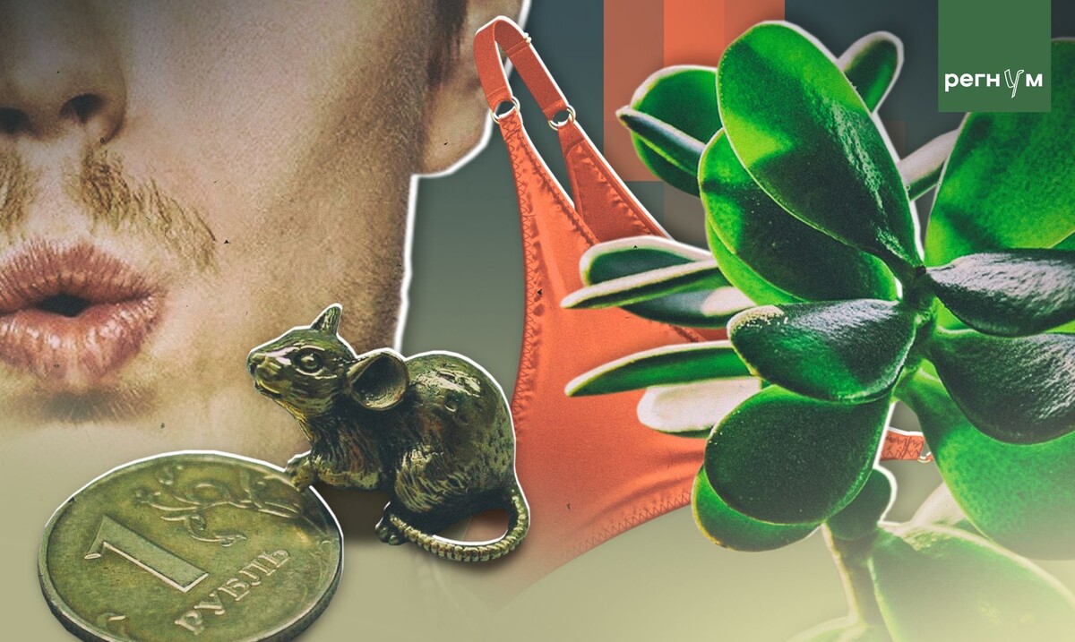     / Источник: Иван Шилов (с) ИА Регнум