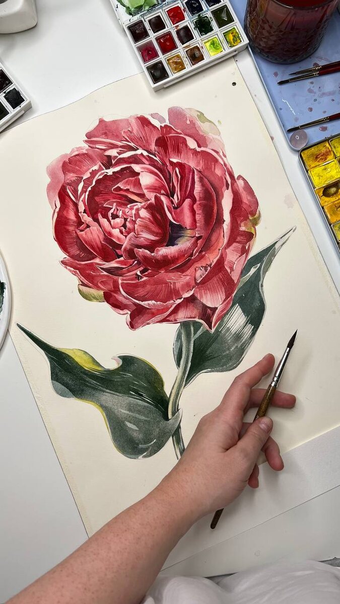 Ботаническая акварельная иллюстрация 