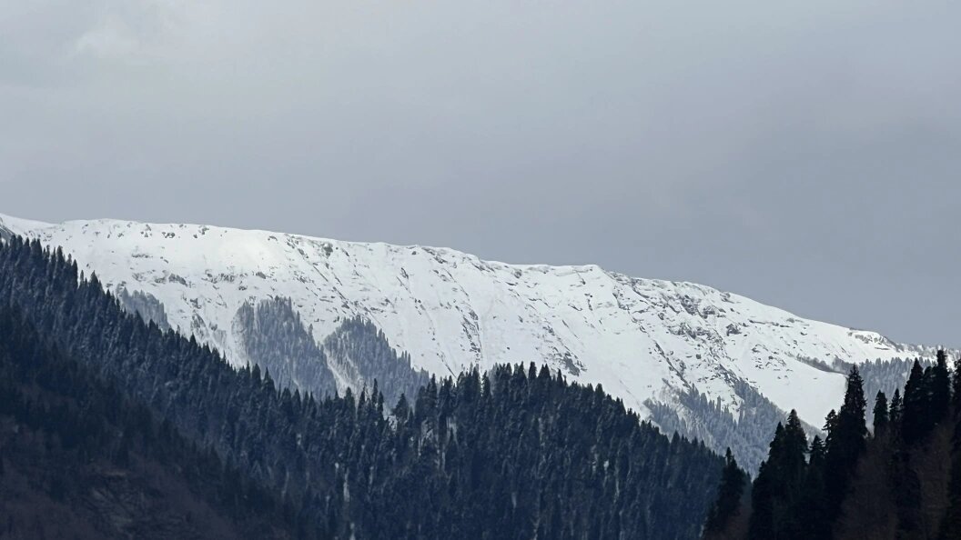    Фото: Царьград