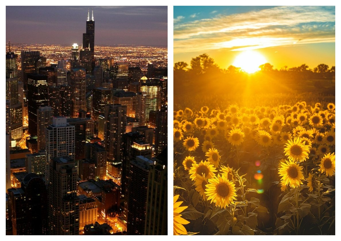 коллаж автора