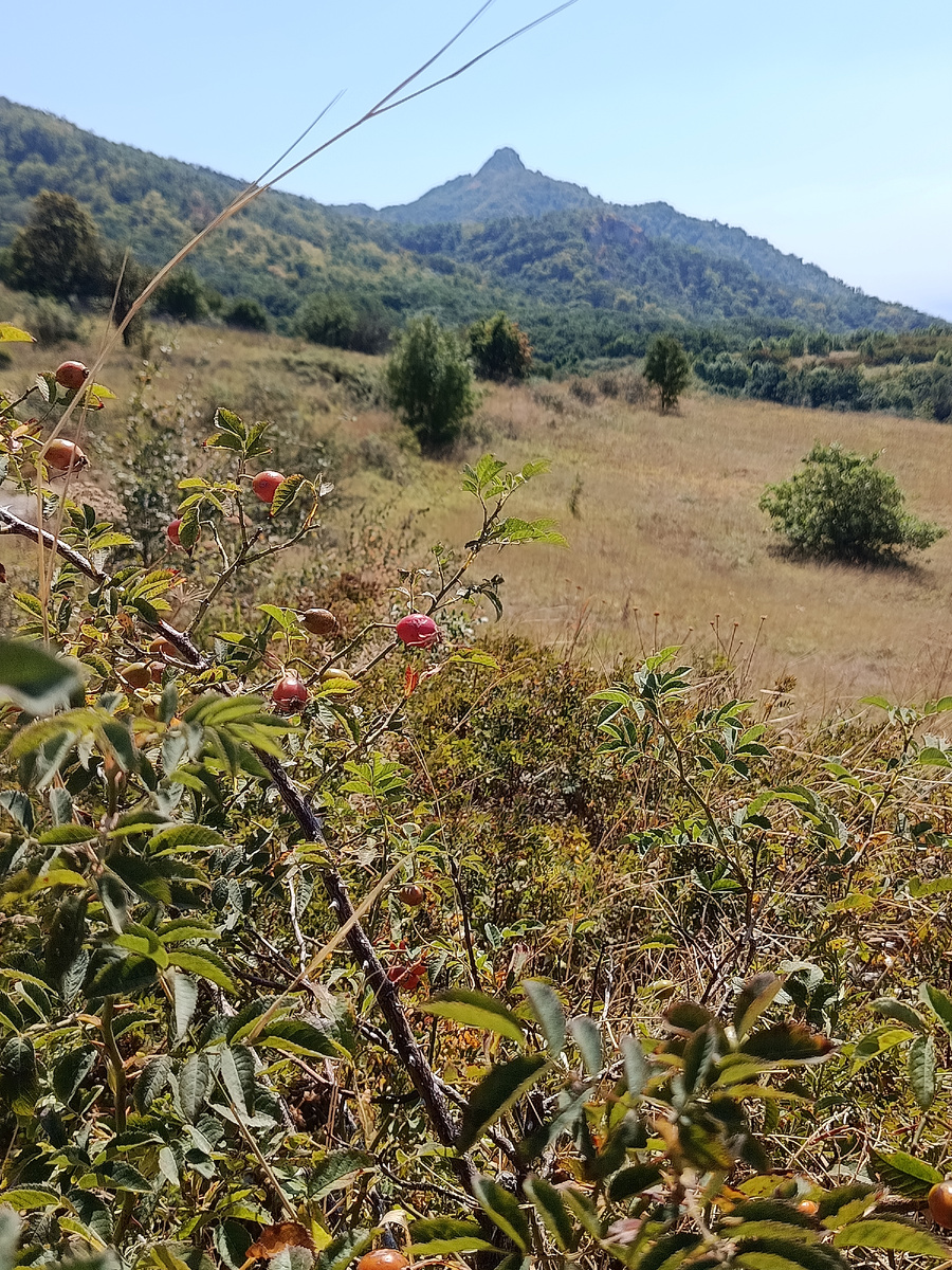 Августовский пейзаж.