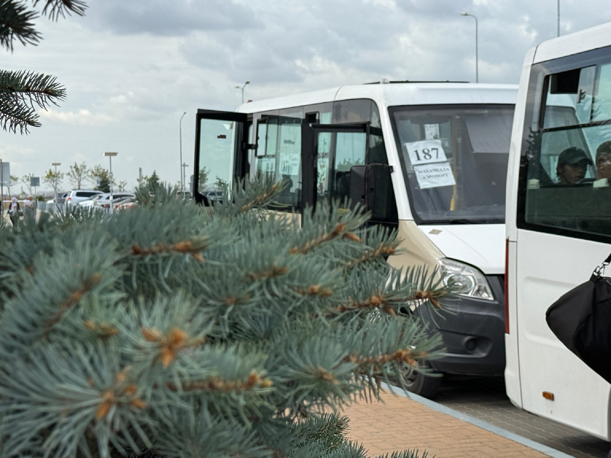 Автобус из аэропорта Махачкалы в город