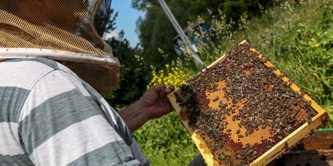 Ветеринарная служба информирует