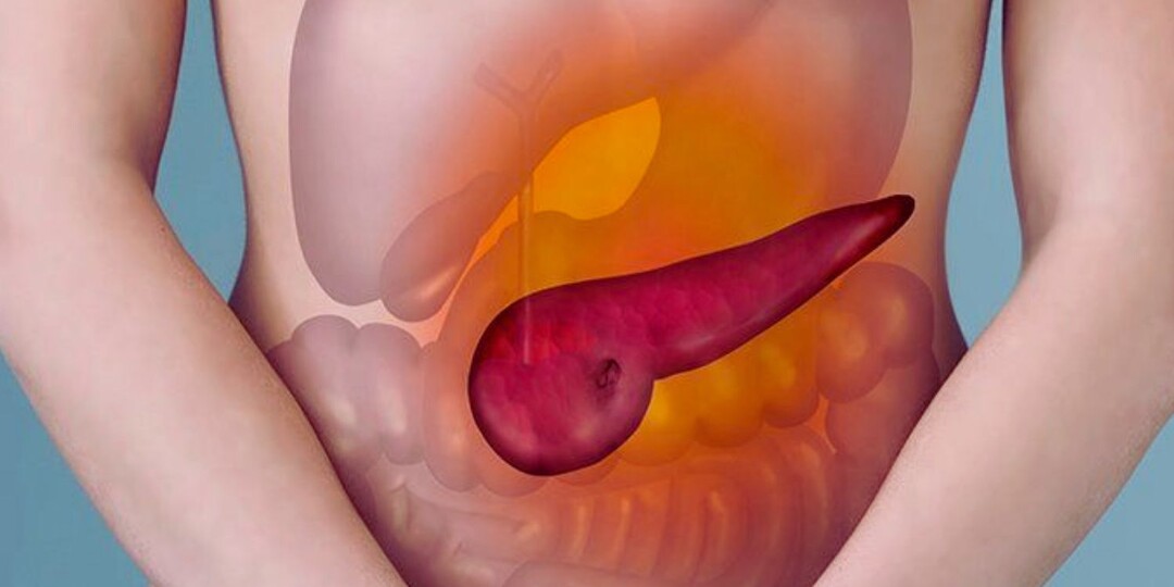 Поджелудочная болит не всегда: как она сигналит на самом деле
