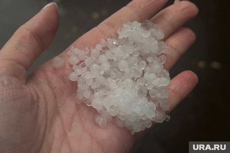 Жители делятся фотографиями града. Фото: Алина Лазорская © URA.RU