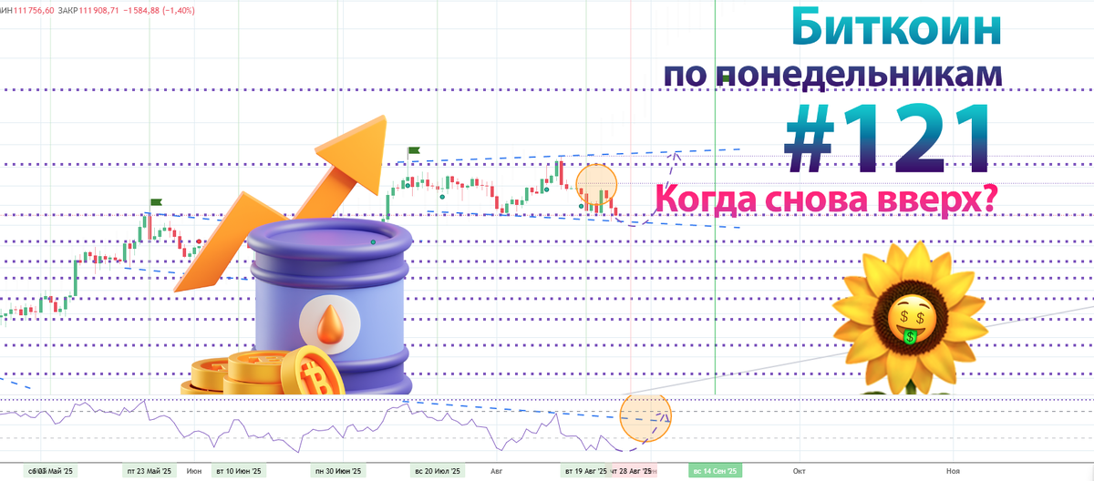 TC/USD — коррекция или пауза перед взлётом