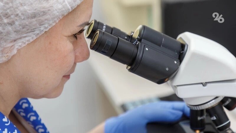    Для амбулатории закупили 125 единиц оборудования и 461 единицу мебели Фото: Дмитрий Ахмадуллин / / ИА «Победа26»