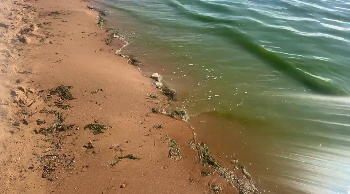 © Северо-Западное управление Росприроднадзора