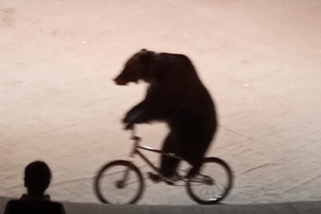    Фото: Дмитрий Зайцев, ИА «Уральский меридиан»