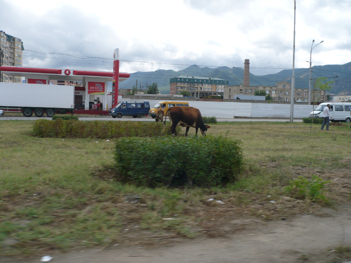 Хасавьюрт. Дагестан