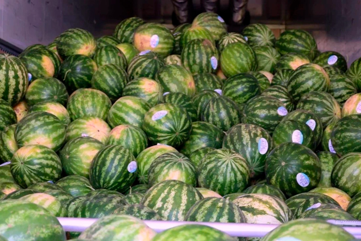    Фото: Управление пресс-службы и информации администрации губернатора Астраханской области, источник: astrobl.ru