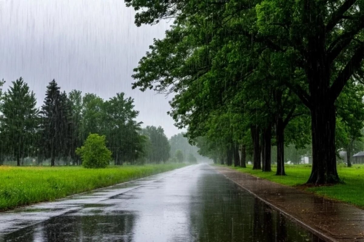    Жильцы новосибирских многоэтажек остались без света из-за ливня