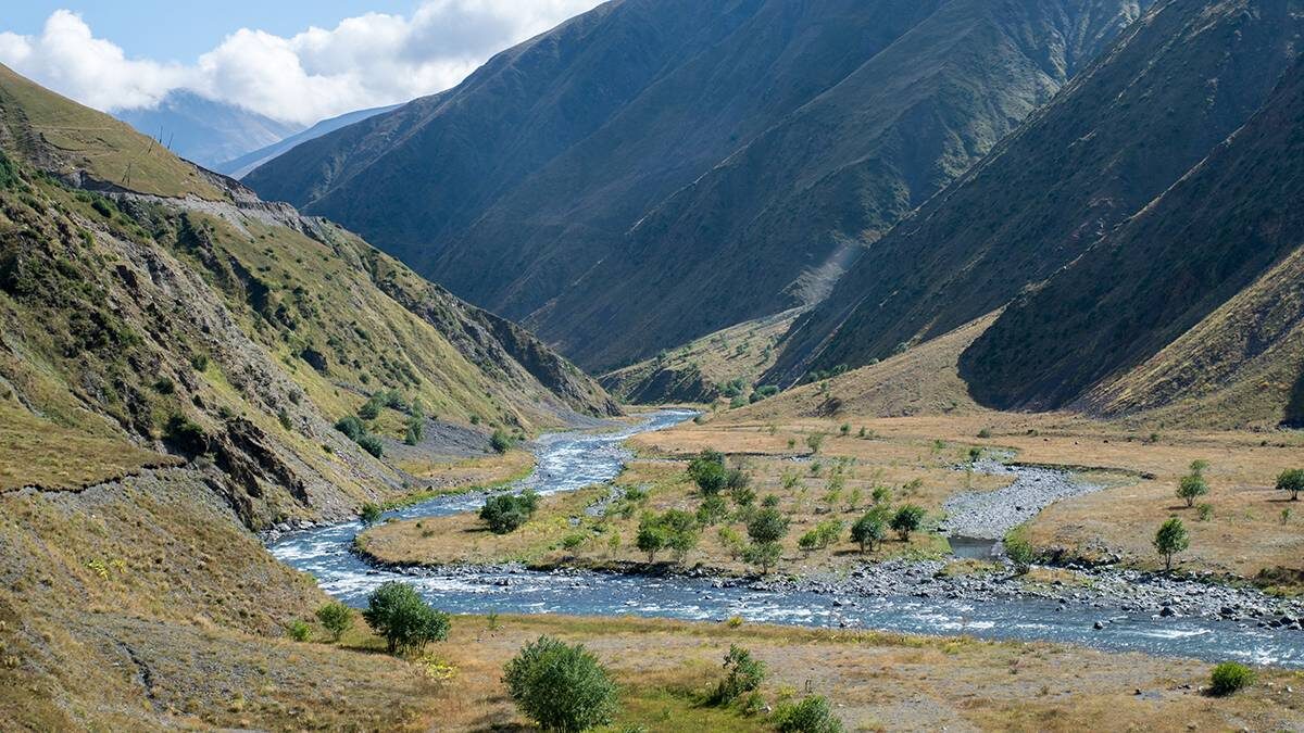    Фото: Shutterstock