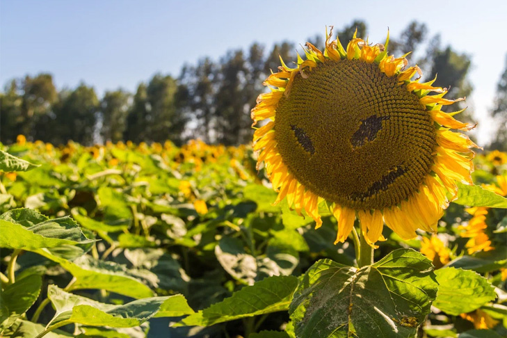   Фото Андрея Заржецкого