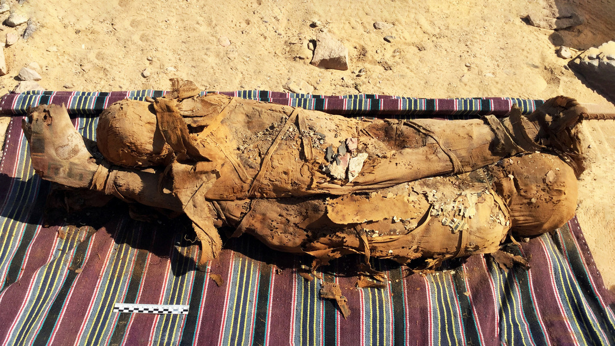 Фото: @eimawa-unimi