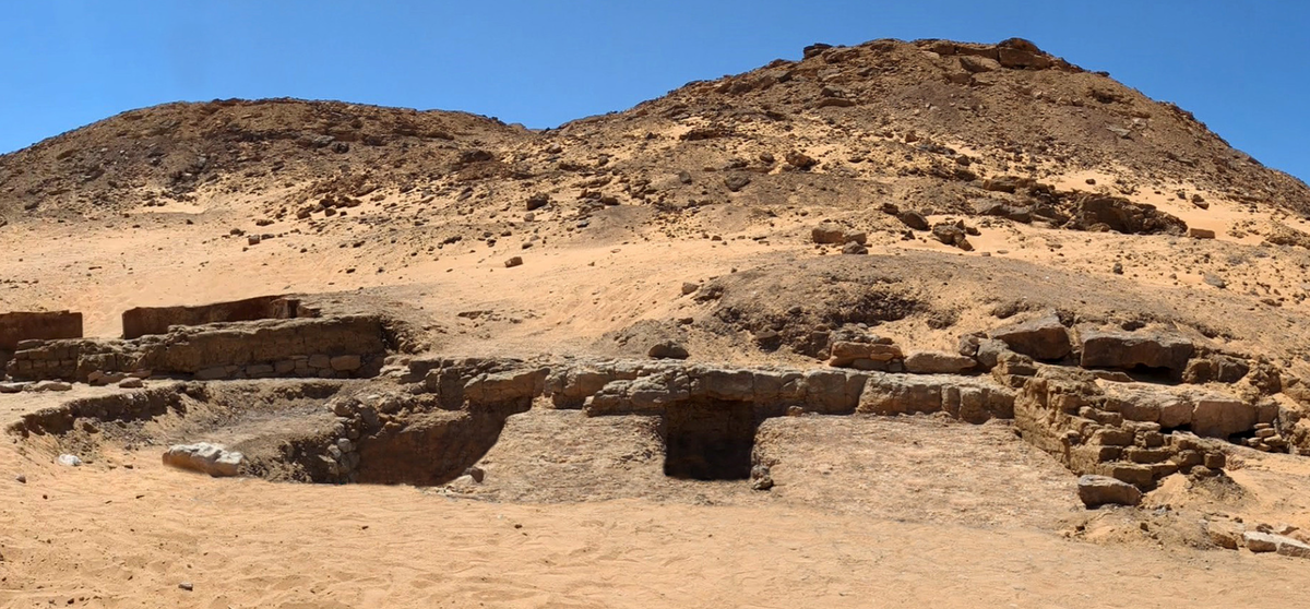 Фото: @eimawa-unimi