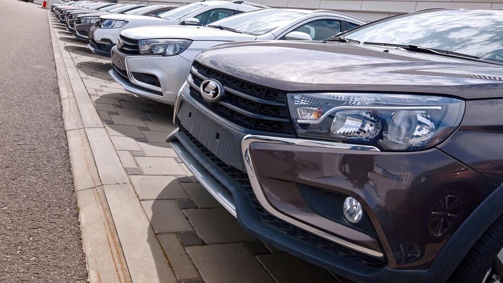    Фото: Tricky_Shark/Shutterstock/Fotodom