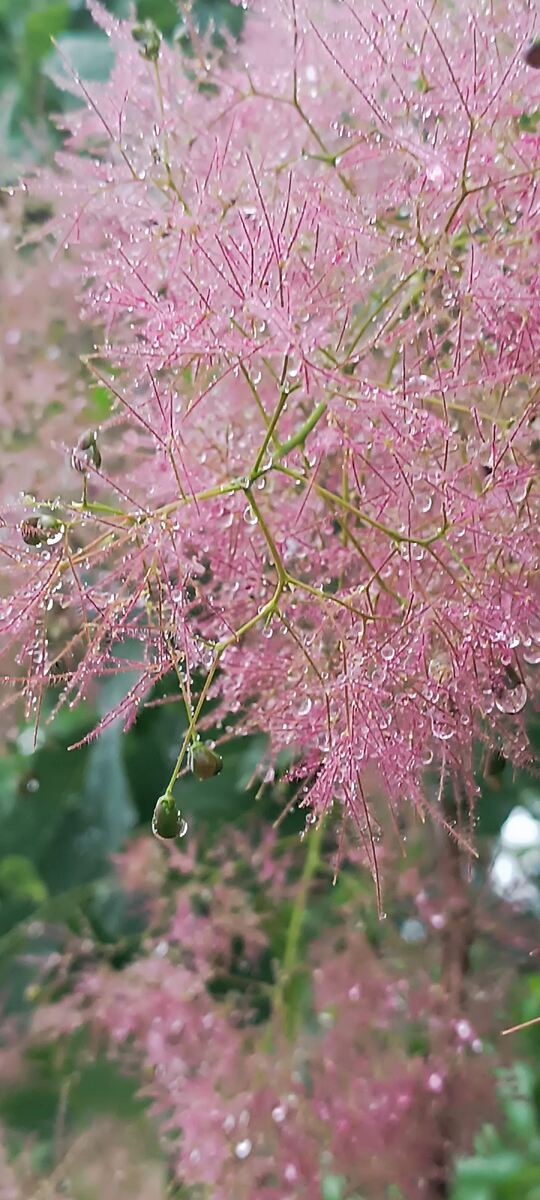 личный архив 